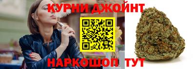 гидропоника Будённовск