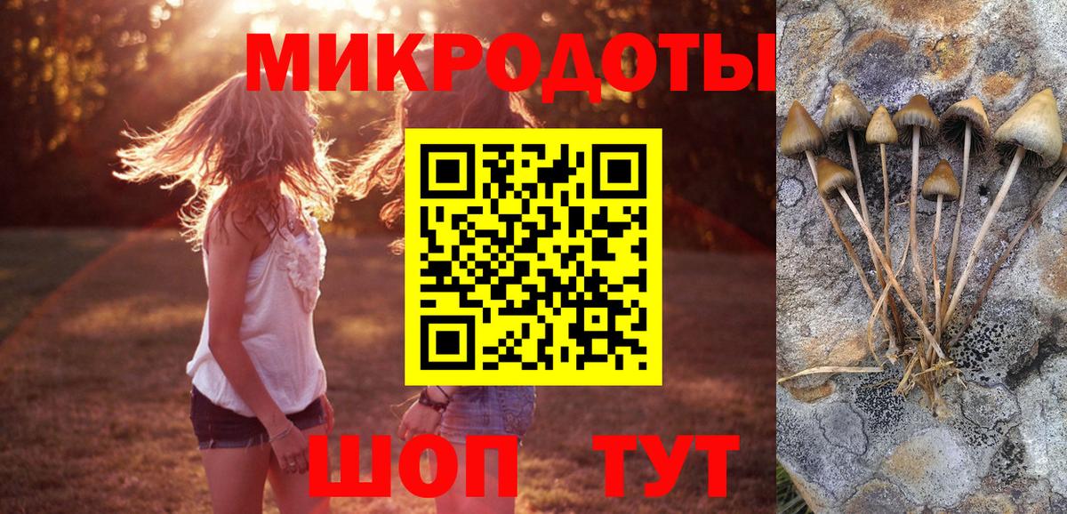 купить  сайты  Вход с VPN  Галлюциногенные грибы Cubensis  Первоуральск  Псилоцибиновые грибы ЛСД 